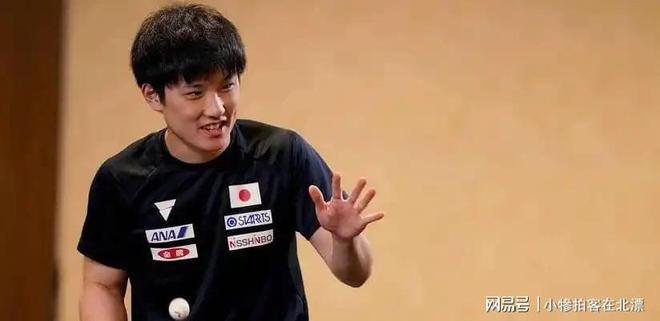 包含波兰乒乓球队逆转比利时乒乓球队，张本智和统治全场的词条