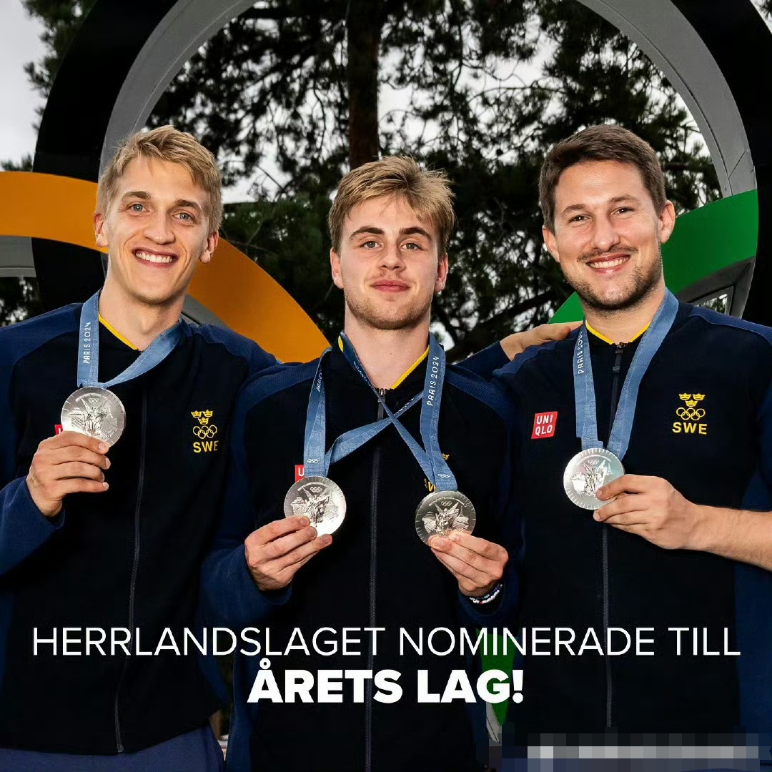 瑞典队完胜法国队，马龙扛起全队